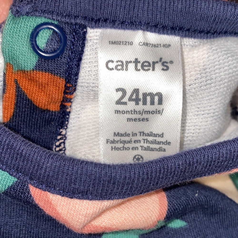 Kids Matching Outfit Bundle with Fruit Print and Stripes 24M - Picture 2 of 5
